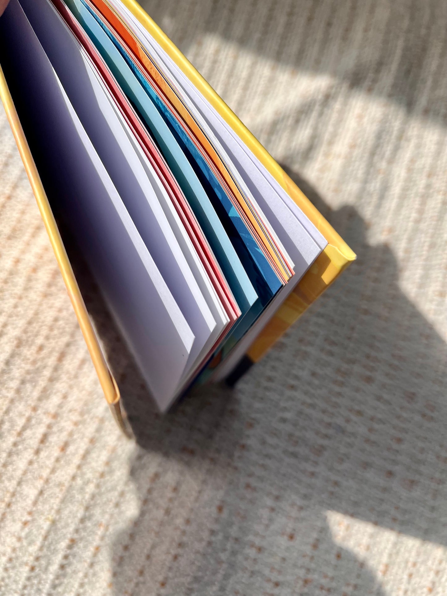 Kinderbuch: Der kleine Löwe und die Sonne