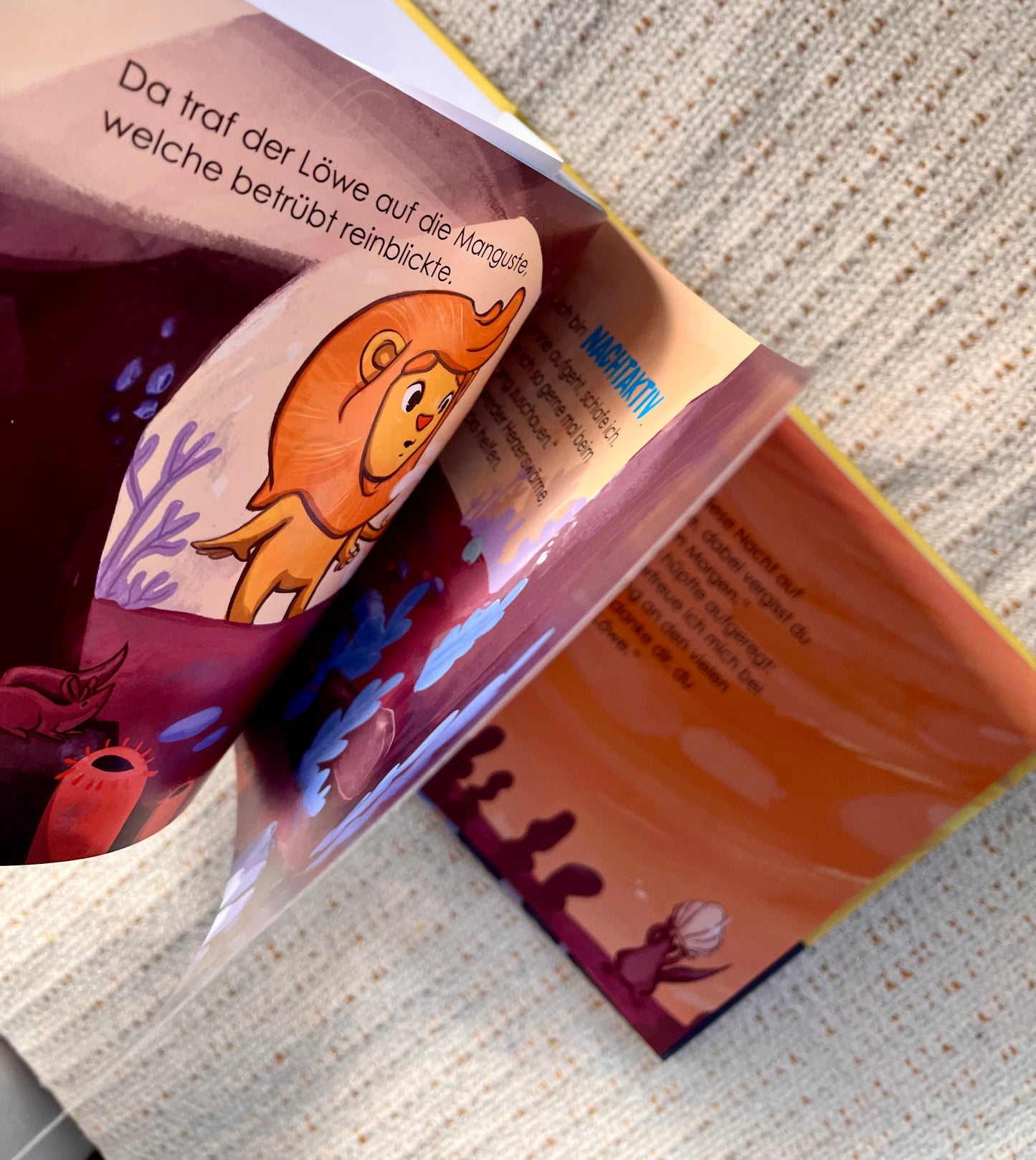 Kinderbuch: Der kleine Löwe und die Sonne