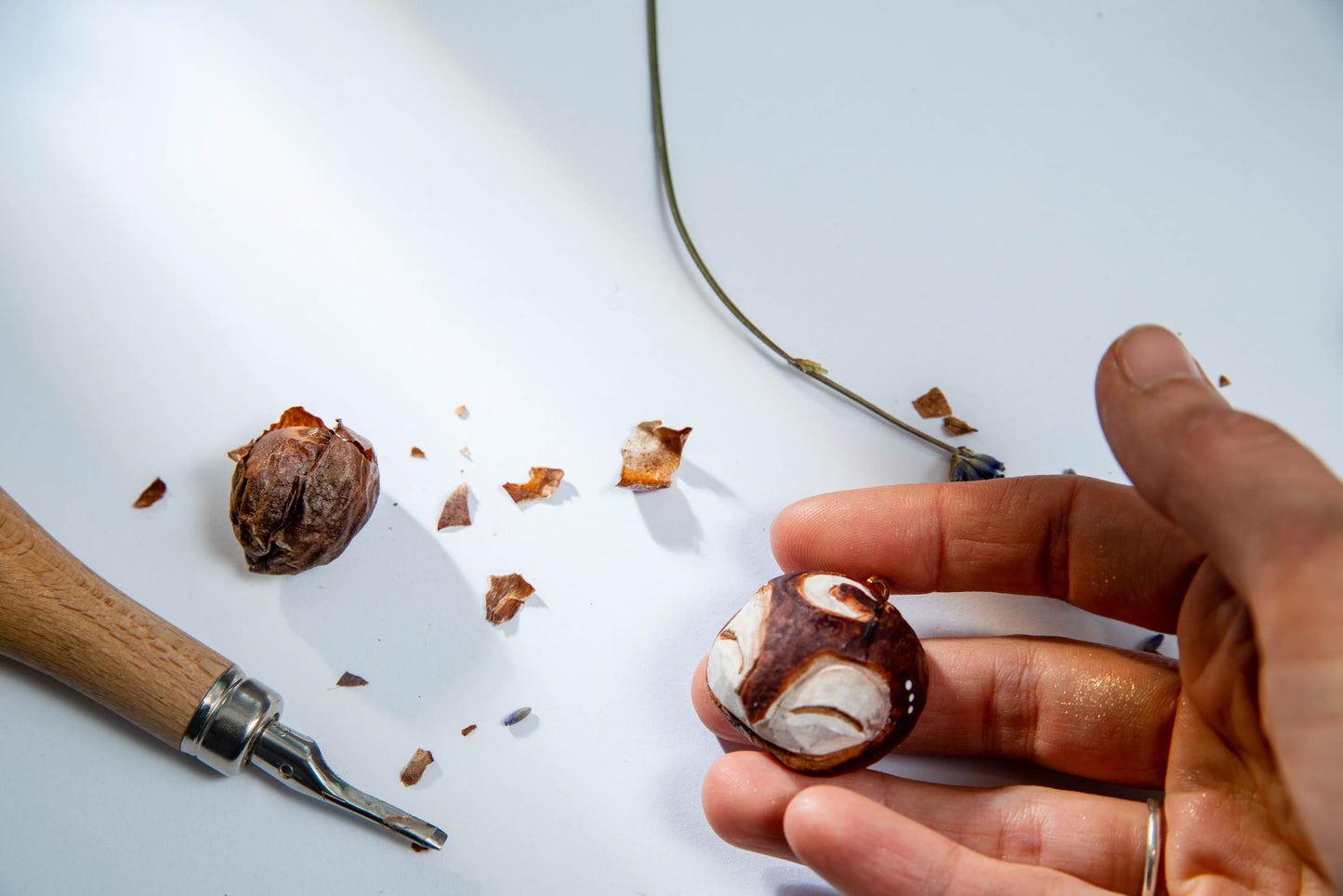 Glücksbringer "Moon Talisman" Kettenanhänger aus Avocado Kern